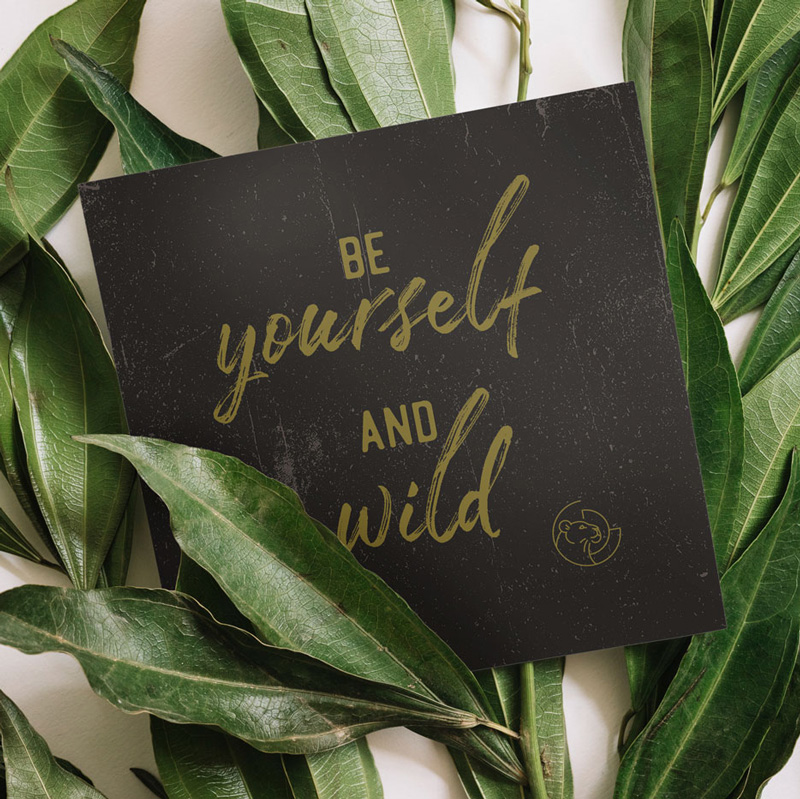 Carte au format carrée, au fond noir et avec un texte vert "be yourself and be wild", dans des feuilles vertes