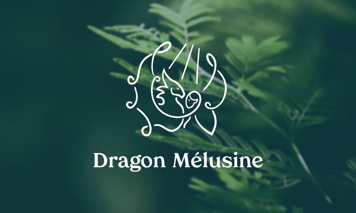 Logotype de l'entreprise Dragon Mélusine en blanc, devant une image de branche de sapin en macro. Le logo représente, de profil et se faisant face, un dragon à gauche, et une fée à droite. Leurs ailes se déploient pour former une sorte de cercle les entourant. Un symbole celtique, fait de 3 lignes descendant du ciel, complète le symbole.